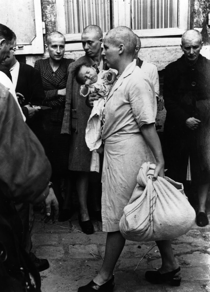 Illustration for article titled Cuando los franceses afeitaron la cabeza de sus mujeres para humillarlas públicamente: la vergüenza tras la WWII